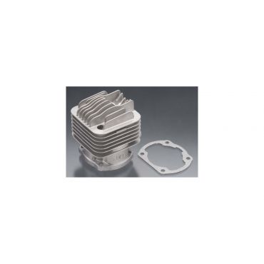 Cylinder w/Gasket DLE20RA
